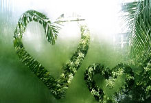 北京国安奋力抗衡，实现关键反击