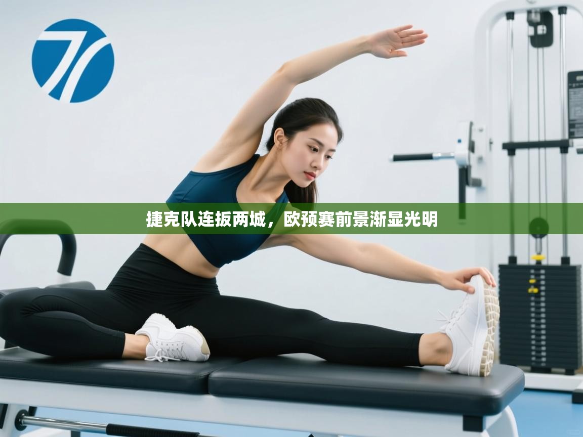 捷克队连扳两城,欧预赛前景渐显光明 第1张