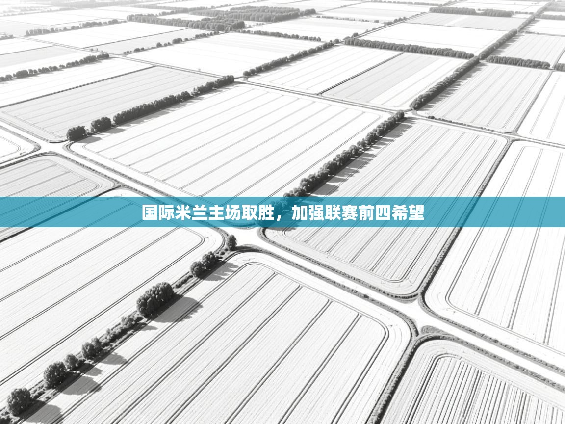 国际米兰主场取胜，加强联赛前四希望