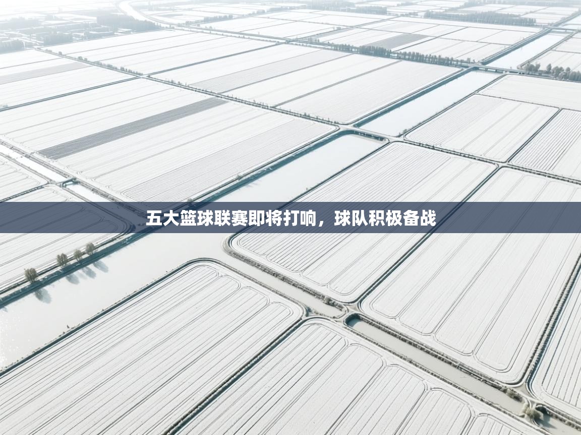 五大篮球联赛即将打响，球队积极备战