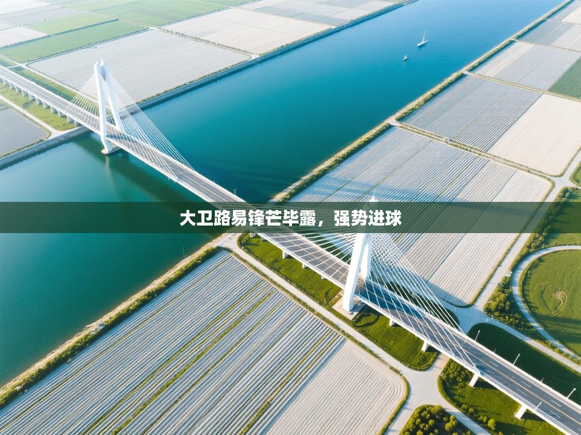 大卫路易锋芒毕露，强势进球